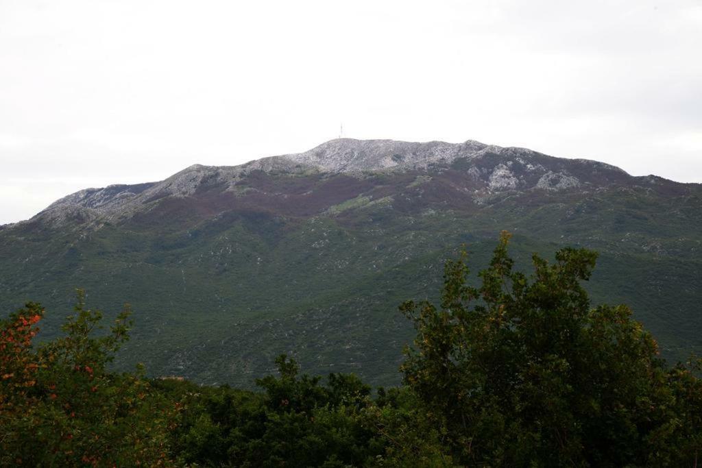 Vila Malena Zagvozd Exteriér fotografie